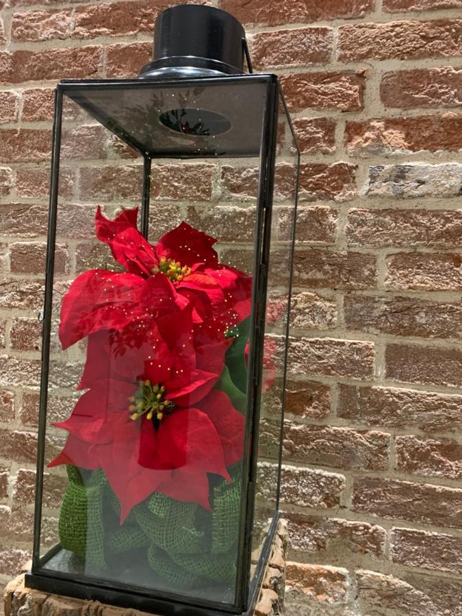 Al Pozzo Di Luce Venezia Suites Zewnętrze zdjęcie